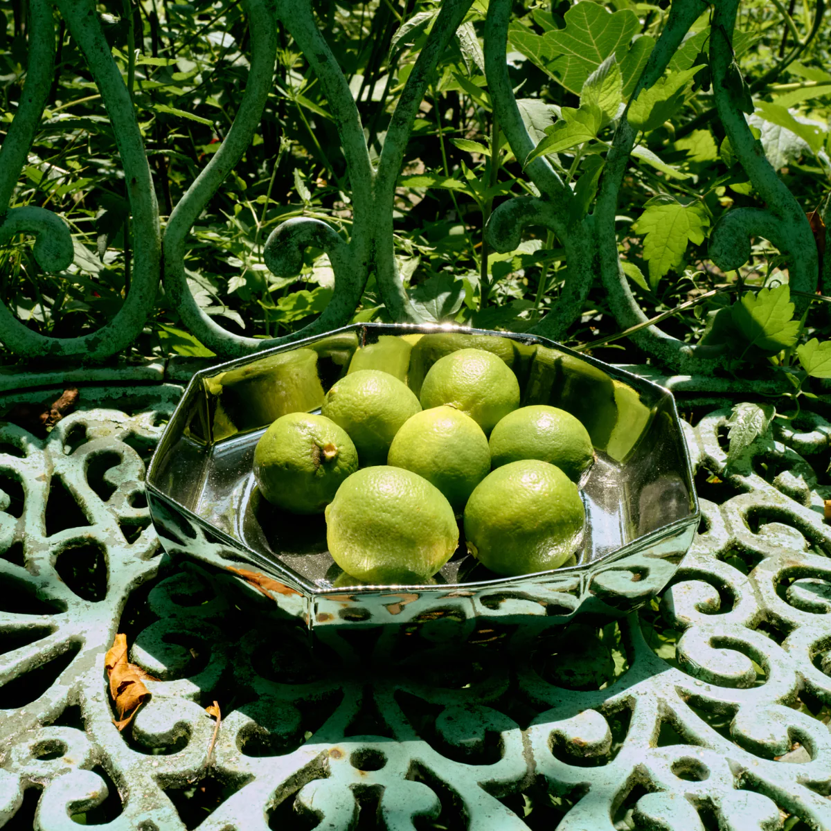 Image du produit 14