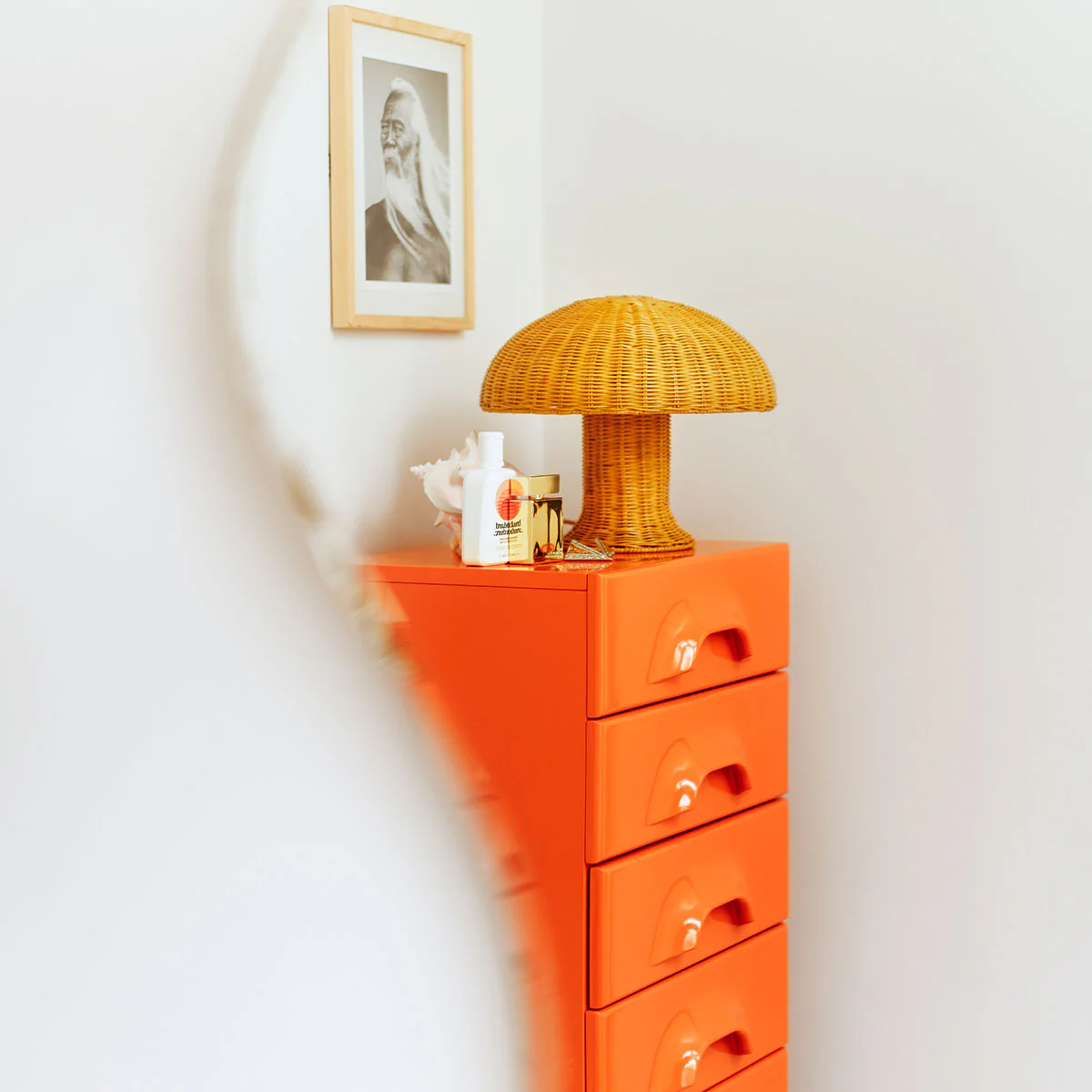 Image du produit 15