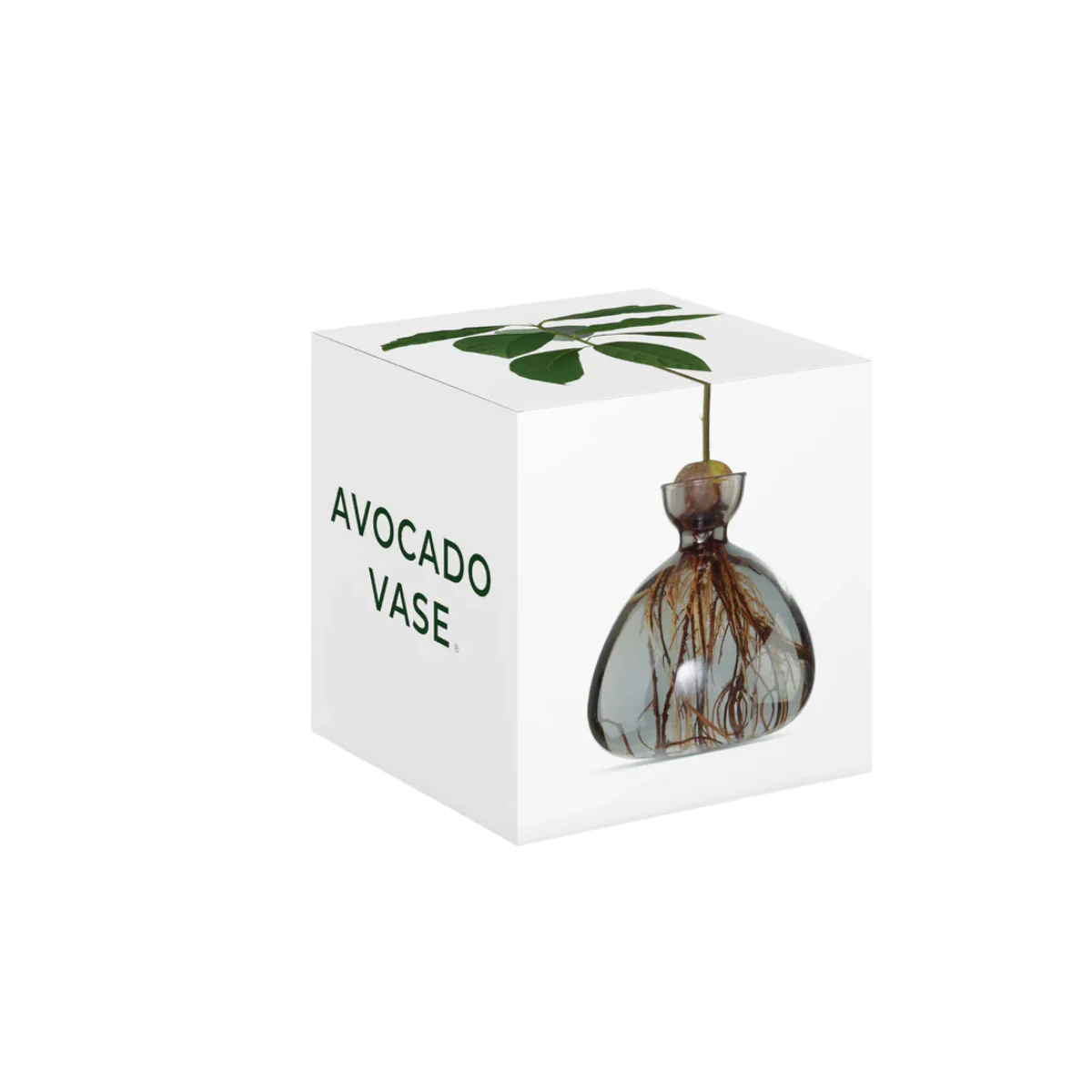 Image du produit 12